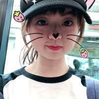 菠萝爱猫粮