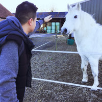 单身,无全职工作,美国签证官两三个问题直接通