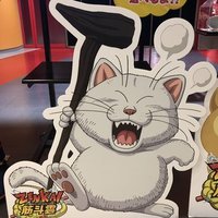 灵敏死胖子