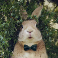 爆米花之微笑60