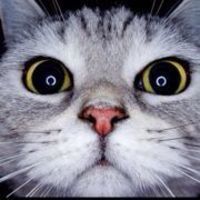 白昼的月亮啊25