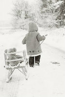 青莱上的菜虫42