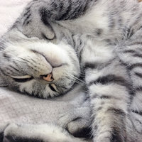 女生 单身 在校 白本 成功加拿大出签,十年签证