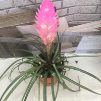 【新西兰签证】二签资料已经准备好了,这周准