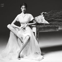 老杨叔的进击