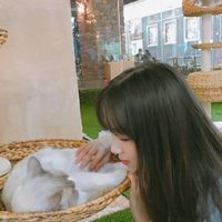 麦克雷的女朋友