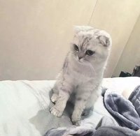 银时是我的