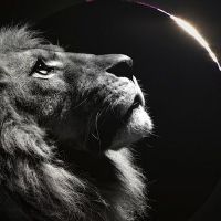 菲律宾马尼拉2000美签水过