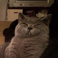 在校本科生 参加德国大学短期交流 商务签33小