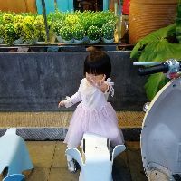 菲菲兔11