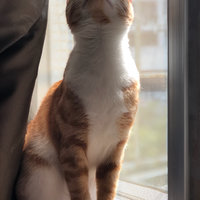 2018年国庆节俄罗斯结伴