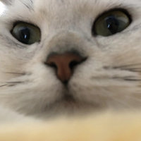 2018年3月白本护照澳洲旅游签证惊险通过!