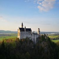 avater