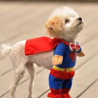 2018年暑期意大利签证申请经验,带孩子一起申