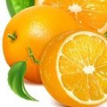 橙子的橙心