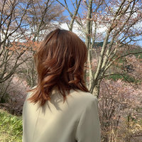 陈红柑