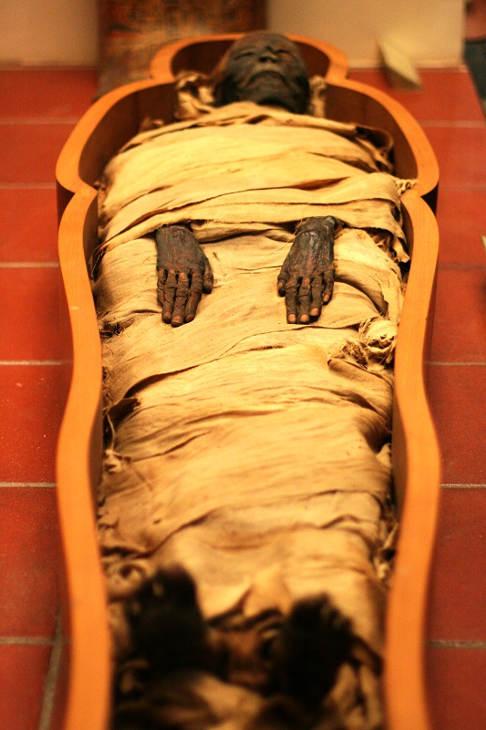 埃及法老木乃伊可怕图片