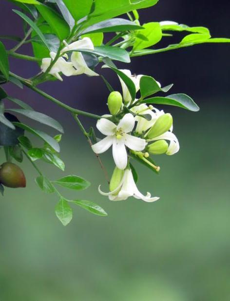 千里香美食攻略 千里香地址 千里香人均消费 穷游网移动版