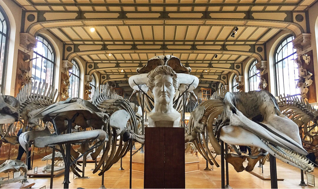 巴黎植物园景点观光攻略 巴黎植物园地址 巴黎植物园门票查询预订 穷游网移动版