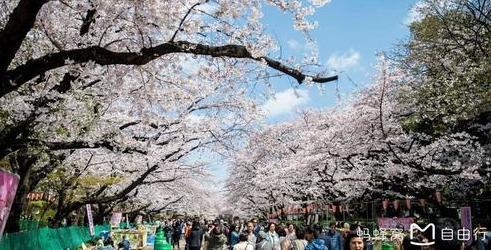 神野公园景点观光攻略 神野公园地址 神野公园门票查询预订 穷游网移动版