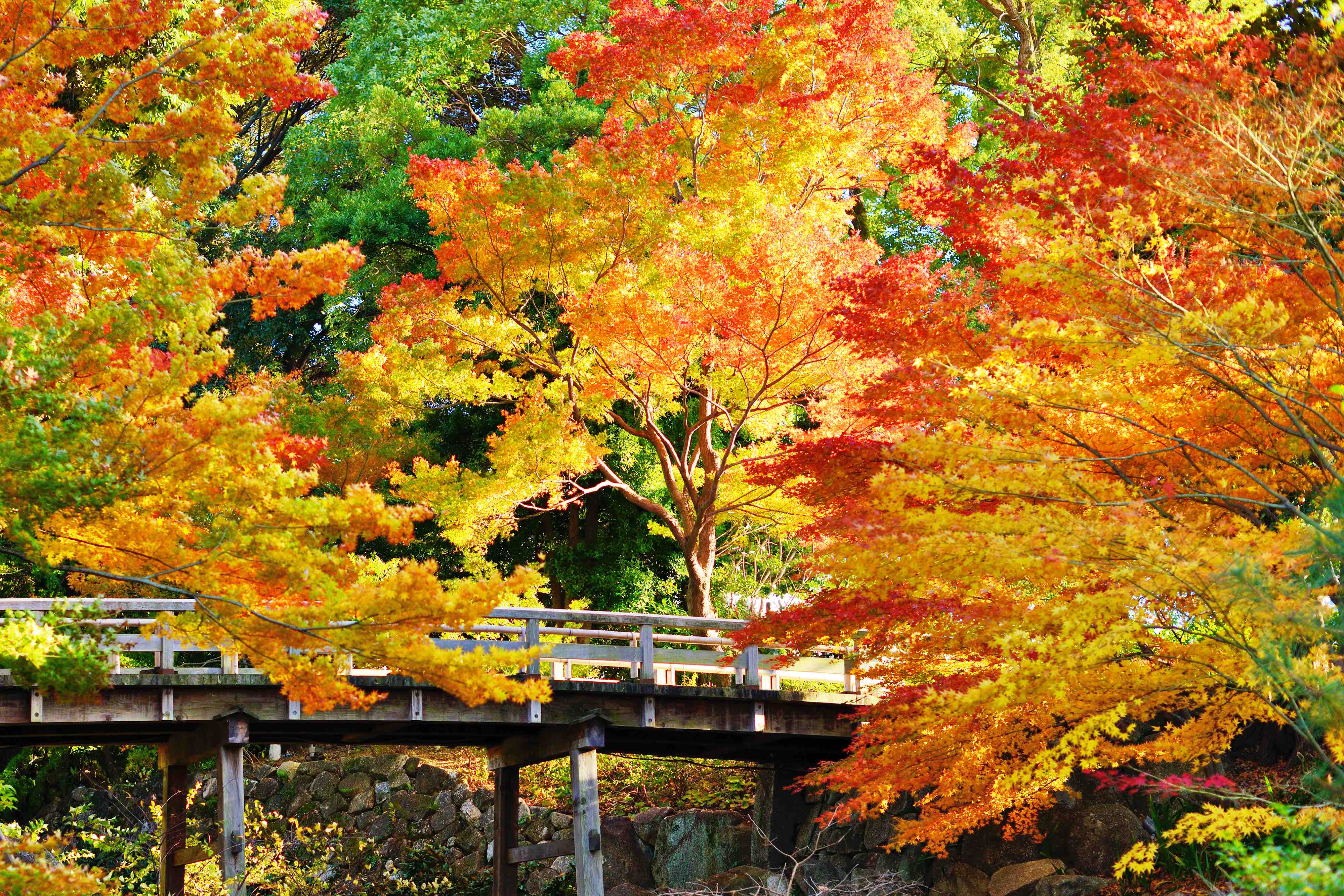 北海道穷游锦囊 北海道赏花 幸福得像花儿一样 穷游锦囊