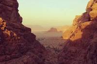 Desert Bird Camp