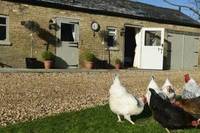 Bridleway Bed & Breakfast