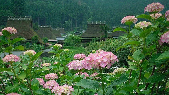 穷游商城 日本京都美山町北村茅草屋之里 出云大社一日游 大阪出发 含寿司及日式火锅自助午餐 特价城市玩乐预订 打折促销优惠