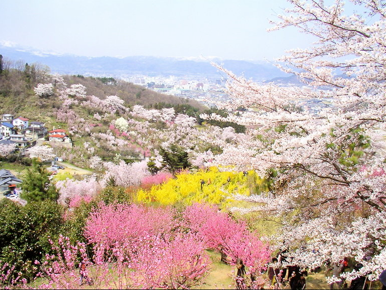 穷游商城 日本福岛三春瀑布樱 花见山公园 霞城公园赏花2日游 东京往返 五星酒店 特价城市玩乐预订 打折促销优惠 穷游网