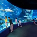 【奇妙海底两万里】泰国曼谷暹罗海洋世界门票