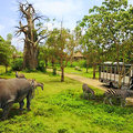 泰国曼谷野生动物园+海洋公园门票(单门票/套票/餐)