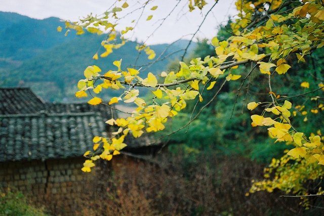 Photo by Jaen Yu CC BY SA 2.0
