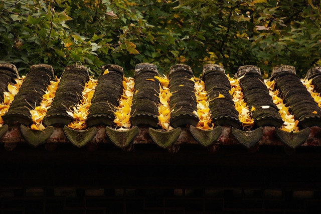 Photo by YiPing@SuZhou CC BY SA 2.0