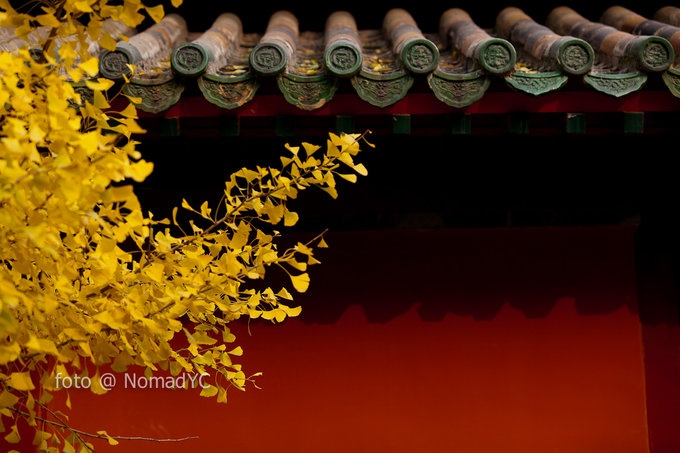 Photo by Nomad YC CC BY SA 2.0