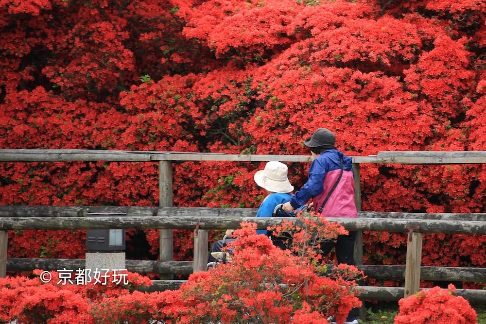 京都好玩 5月京都去哪玩 京都好玩 穷游专栏