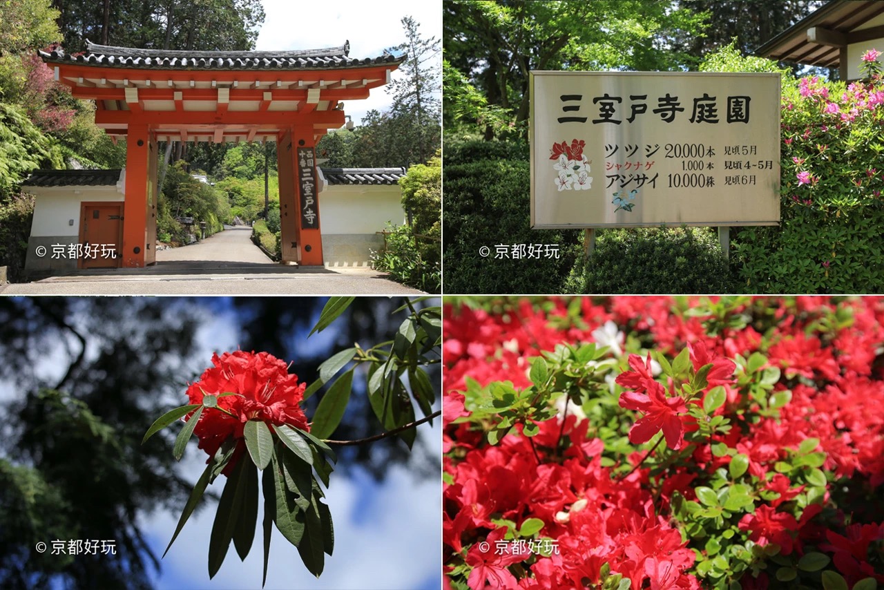 京都好玩 5月京都去哪玩 京都好玩 穷游专栏