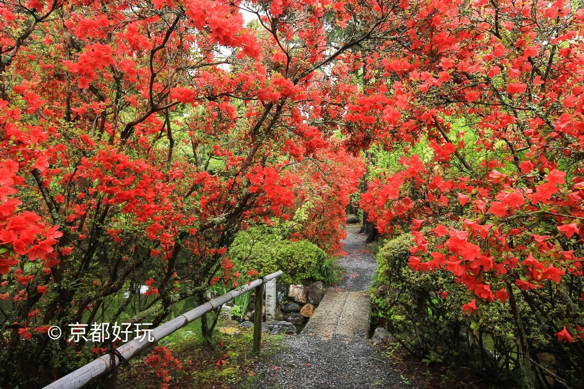 京都好玩 5月京都去哪玩 京都好玩 穷游专栏