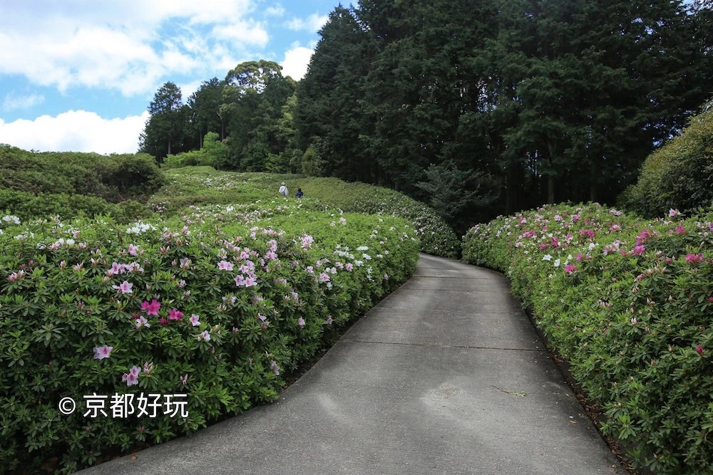 京都好玩 5月京都去哪玩 京都好玩 穷游专栏