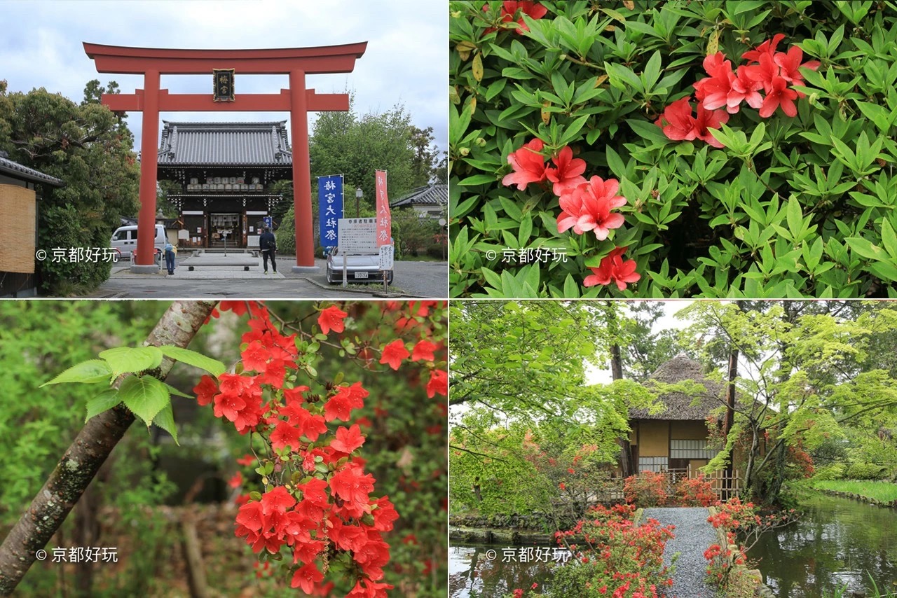 京都好玩 5月京都去哪玩 京都好玩 穷游专栏