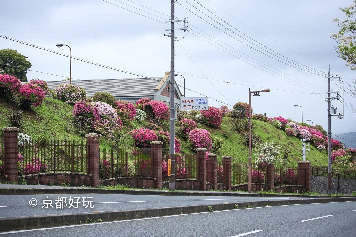 京都好玩 5月京都去哪玩 京都好玩 穷游专栏