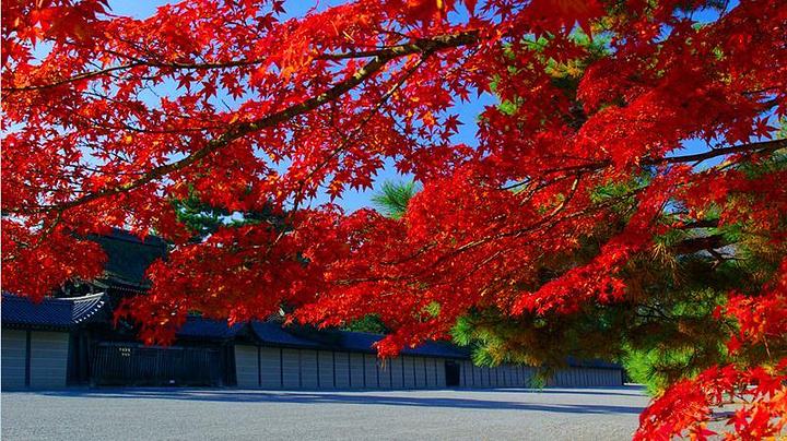 必赏枫叶季 京都10大绝美赏红叶景点推荐 日语盲如何玩转霓虹国 穷游专栏