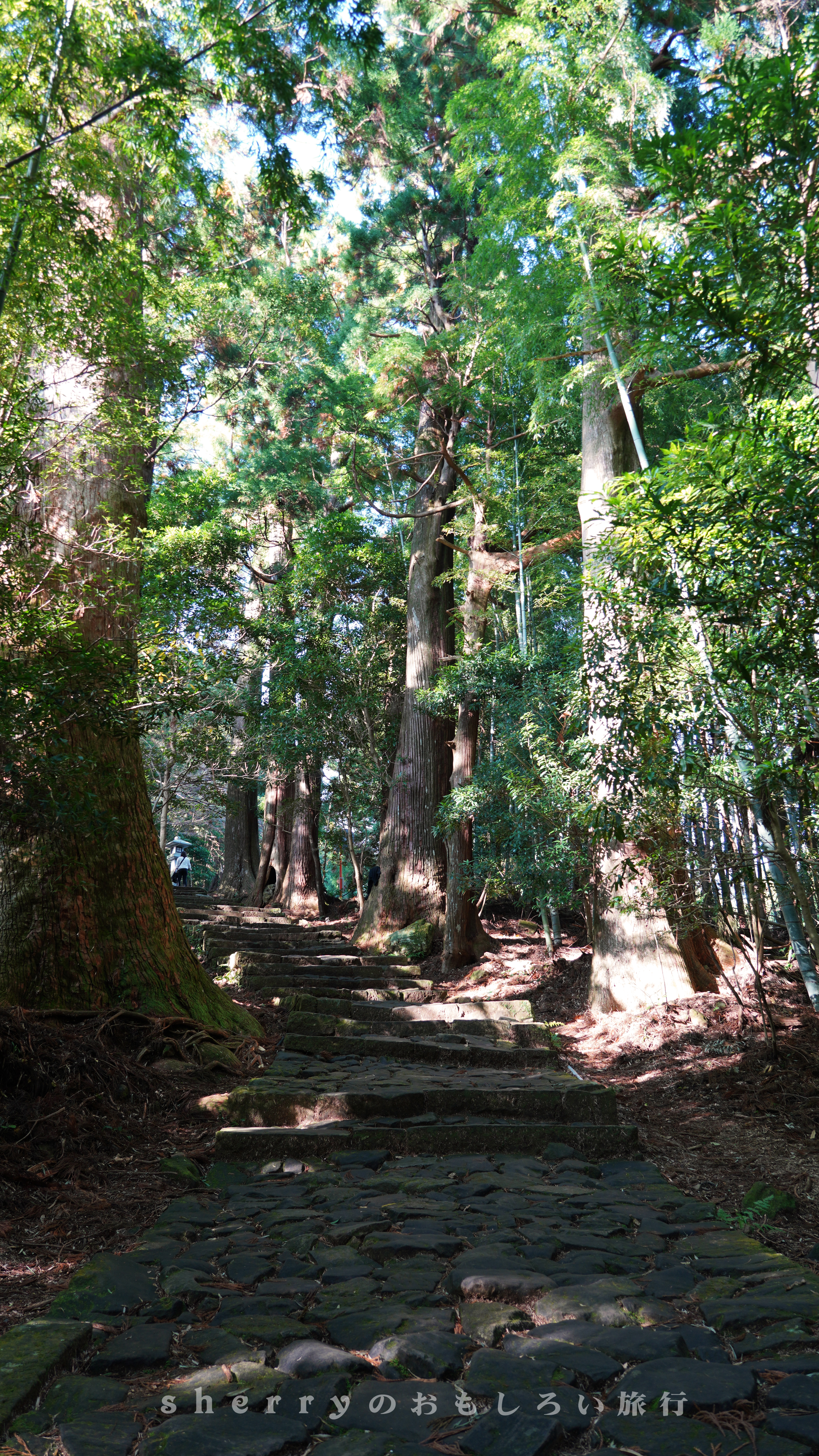 岛国的山海交响 一 访熊野古道 拜山地灵场 这些年sherry在旅拍 穷游专栏