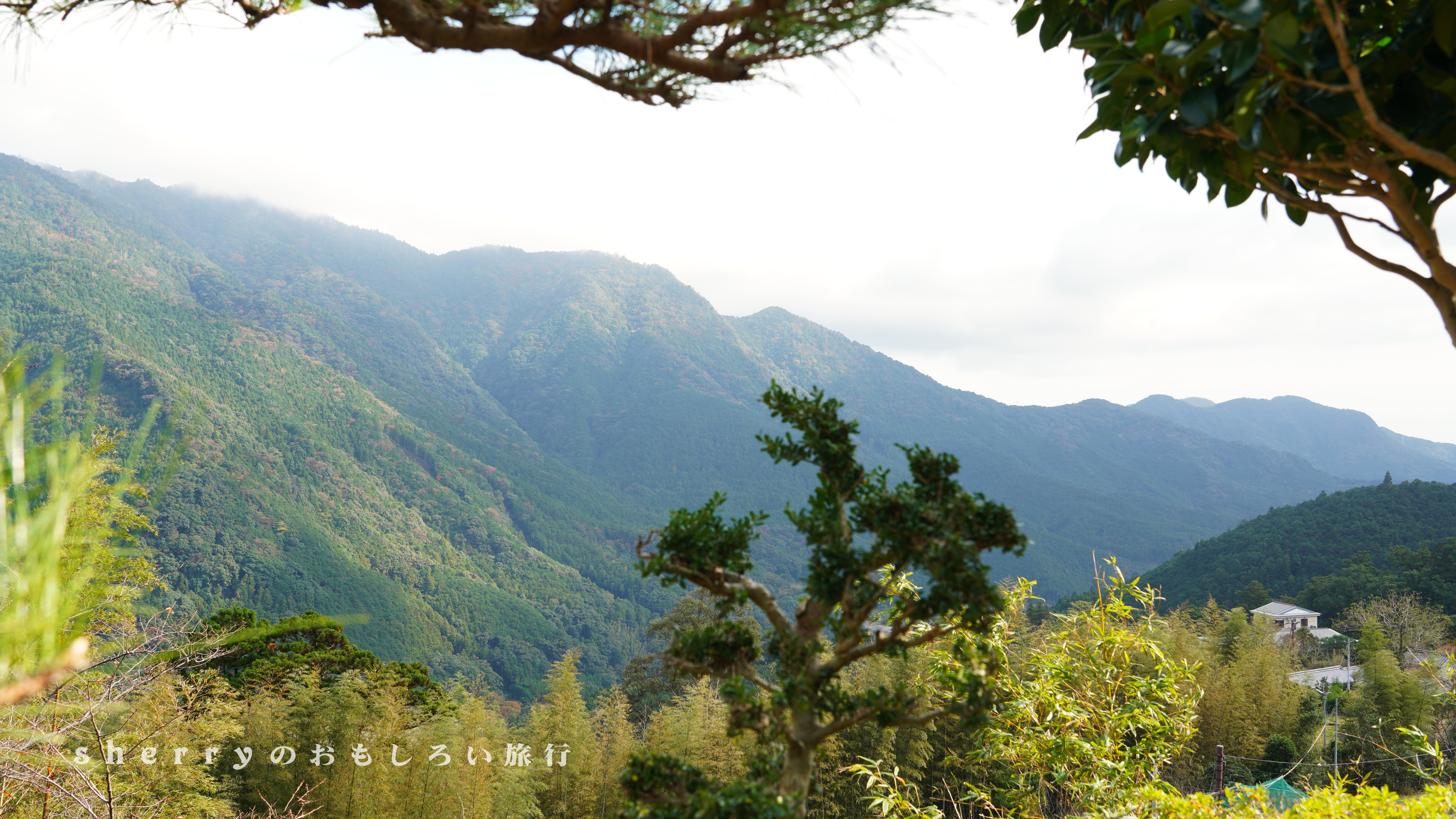 岛国的山海交响 一 访熊野古道 拜山地灵场 这些年sherry在旅拍 穷游专栏