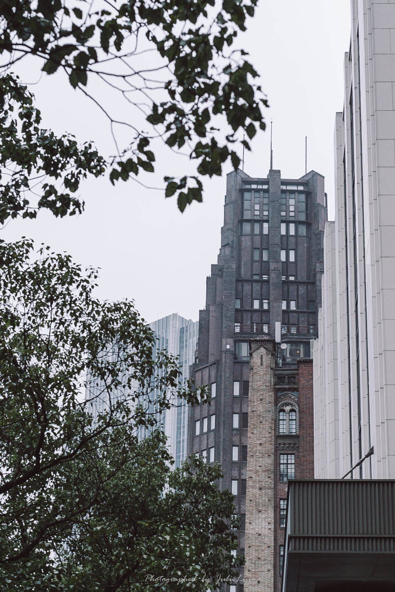 国际饭店这一眼，在贝聿铭心里种下了建筑的草