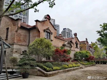 图/ 微博@小洋人sic
