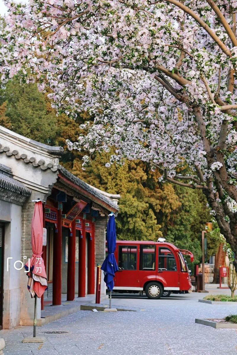 图/穷游er 刀刀7904