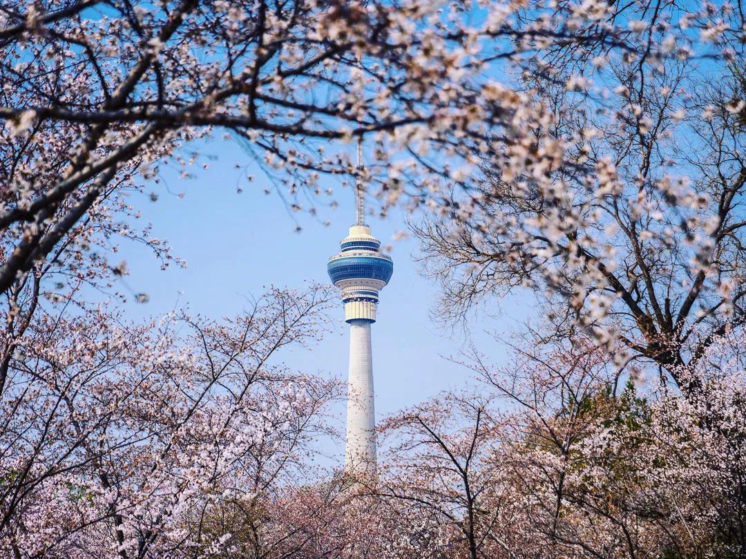图/穷游biu主 素素拓拓的旅行派