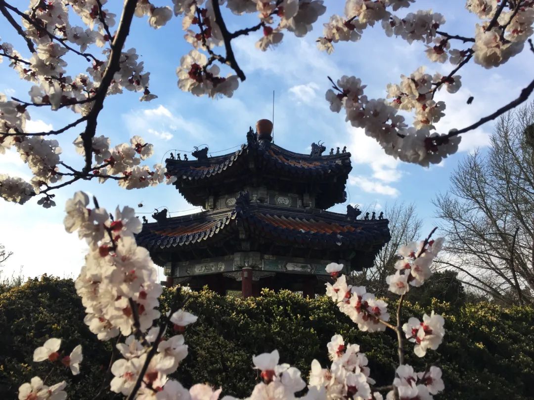 图/穷游er 刀刀7904