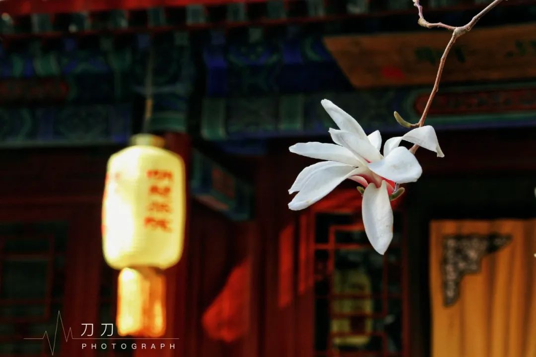 图/穷游er 刀刀7904