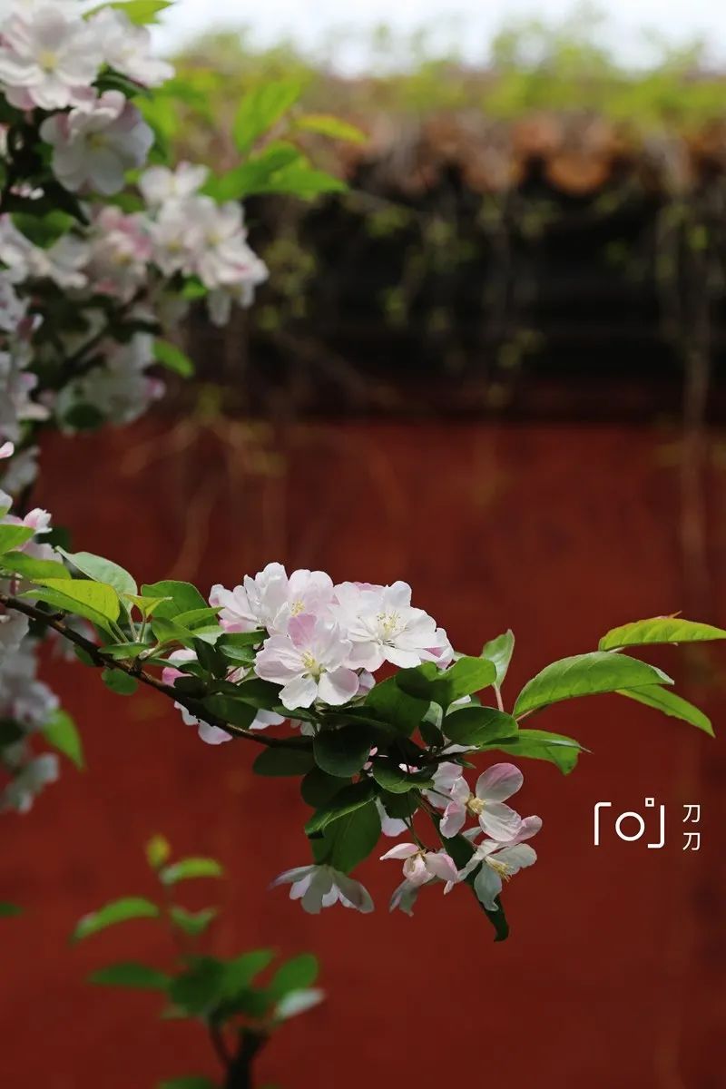 图/穷游er 刀刀7904